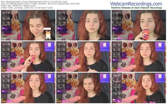 stripchat-stellasexdoll-11-03-2025-02-16-21