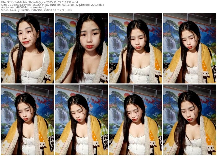 stripchat-vy_xx-11-03-2025-01-32-38