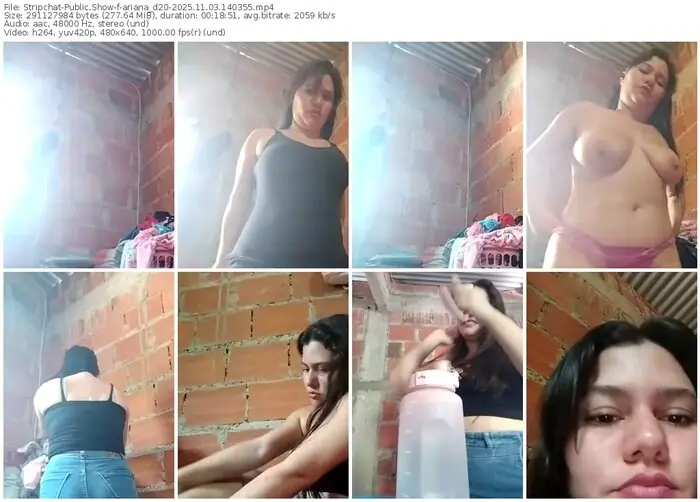 stripchat-ariana_d20-11-03-2025-14-03-55