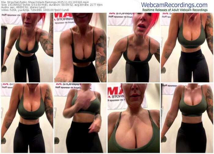 stripchat-black-flamingo-11-03-2025-19-33-20