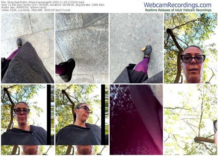 stripchat-eveangelll-11-03-2025-11-55-02