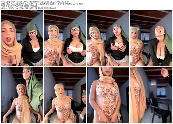 stripchat-lalilamassu1-11-03-2025-20-57-22