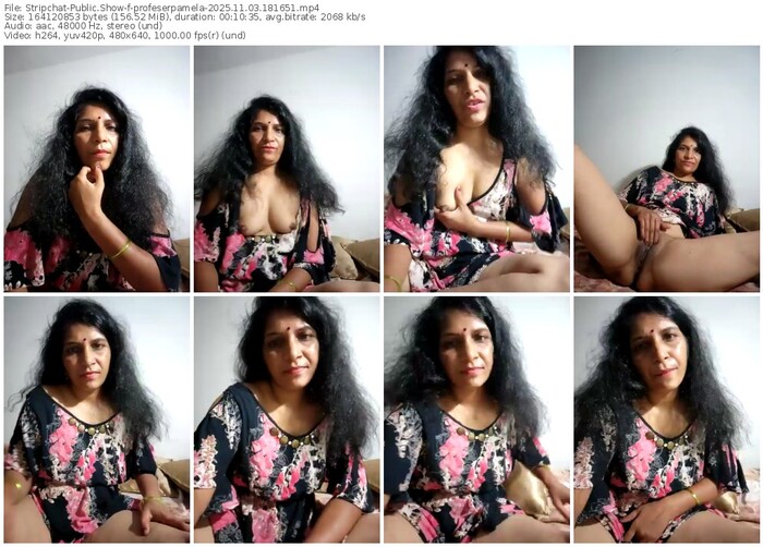 stripchat-profeserpamela-11-03-2025-18-16-51