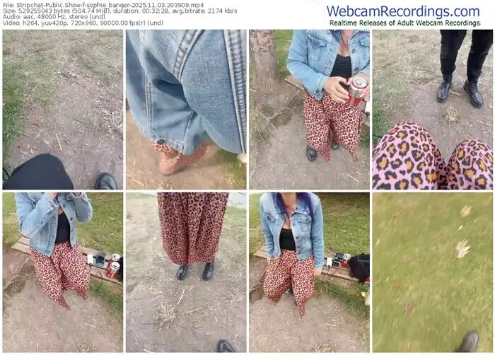 stripchat-sophie_banger-11-03-2025-20-39-09