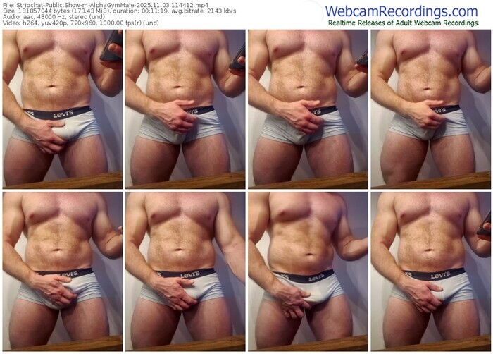 stripchat-alphagymmale-11-03-2025-11-44-12