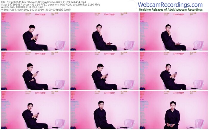 stripchat-boygayhouse-11-03-2025-14-14-54