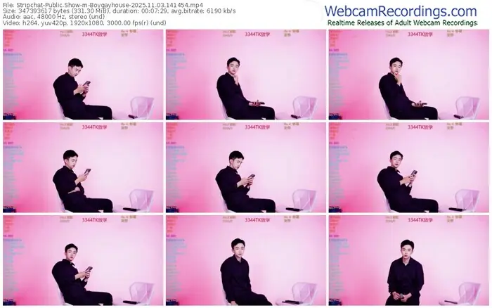 stripchat-boygayhouse-11-03-2025-14-14-54