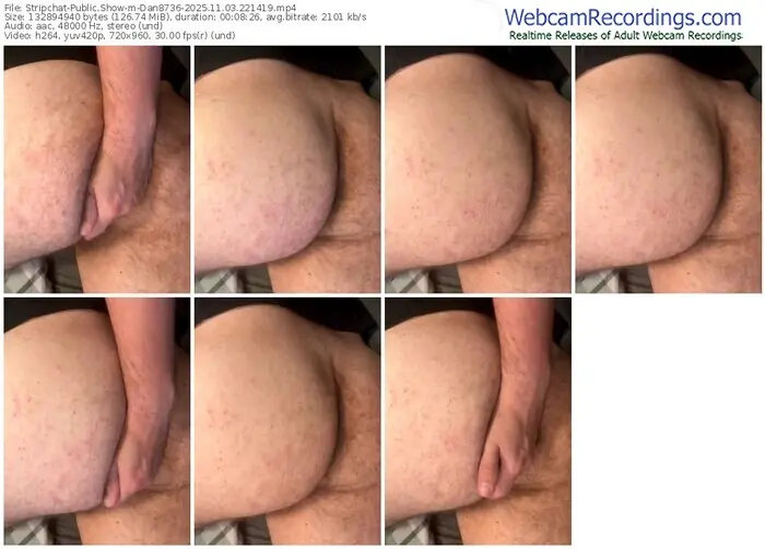 stripchat-dan8736-11-03-2025-22-14-19