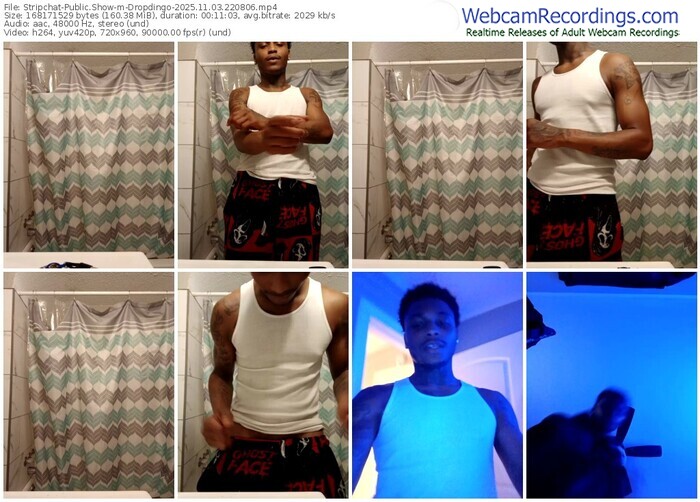 stripchat-dropdingo-11-03-2025-22-08-06