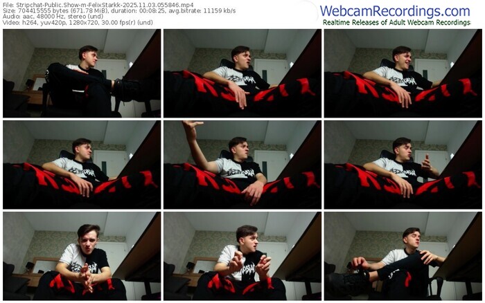stripchat-felixstarkk-11-03-2025-05-58-46