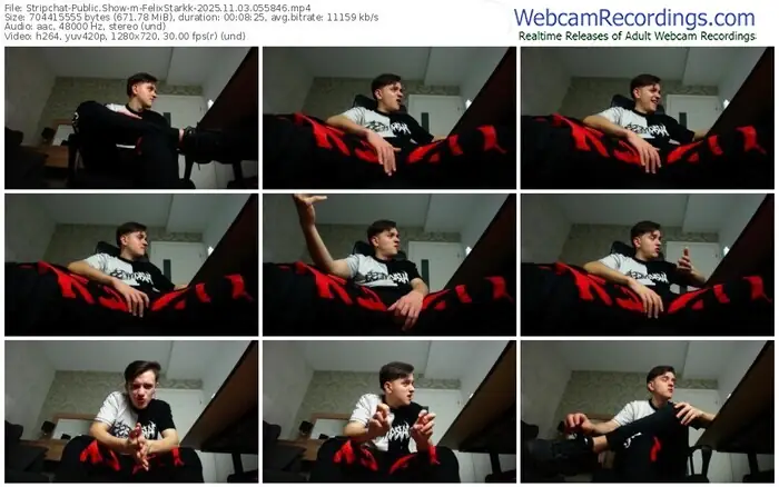 stripchat-felixstarkk-11-03-2025-05-58-46