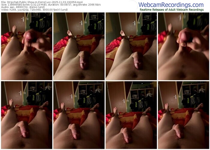 stripchat-forrocucc-11-03-2025-19-00-59