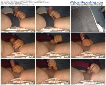 stripchat-gaddar_tr06-11-03-2025-09-19-30