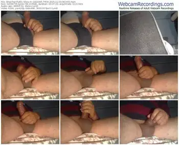 stripchat-gaddar_tr06-11-03-2025-09-19-30