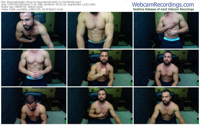 stripchat-hayeswood-11-03-2025-09-59-25