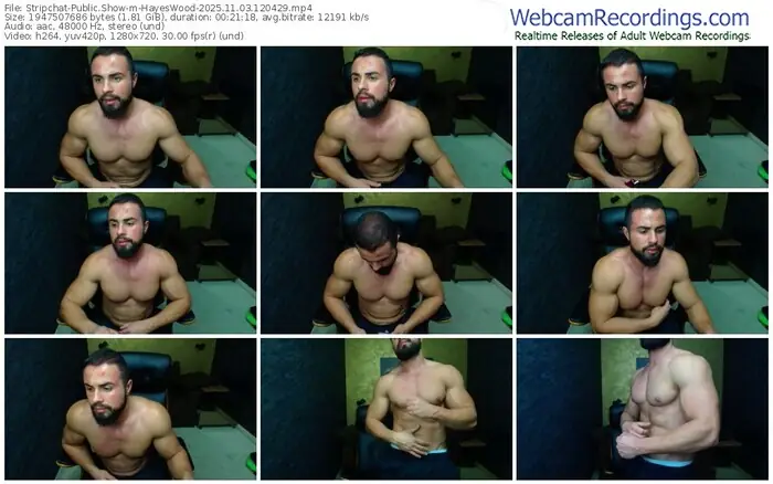 stripchat-hayeswood-11-03-2025-12-04-29