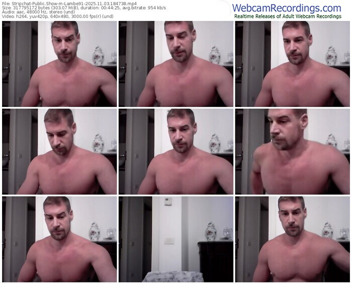 stripchat-lambe91-11-03-2025-18-47-38