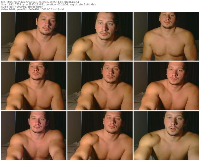 stripchat-lionedwin-11-03-2025-08-20-44