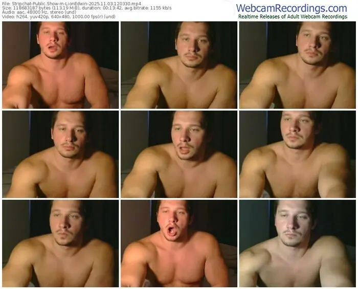 stripchat-lionedwin-11-03-2025-12-03-30