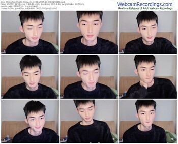 stripchat-n228-11-03-2025-08-39-48