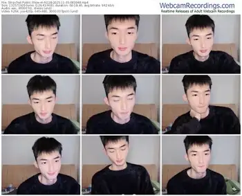 stripchat-n228-11-03-2025-08-39-48