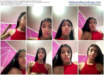 stripchat-ortegakim-11-03-2025-01-51-31