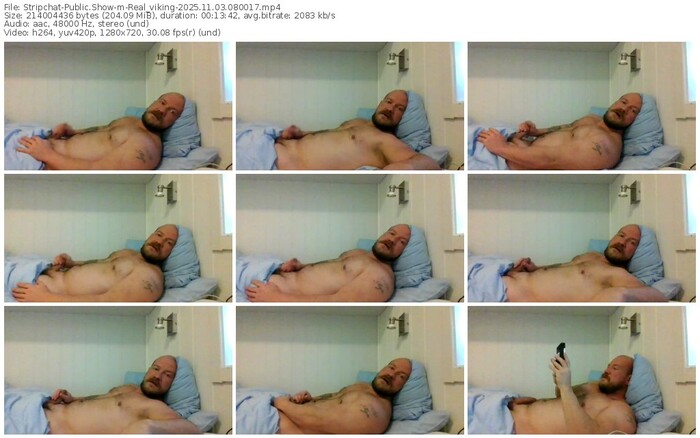 stripchat-real_viking-11-03-2025-08-00-17