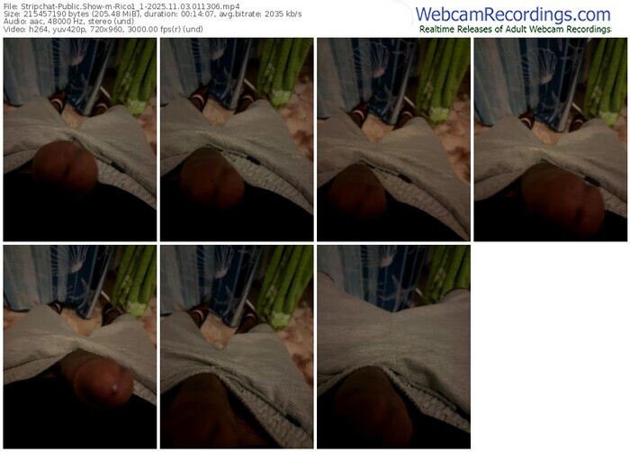 stripchat-rico1_1-11-03-2025-01-13-06