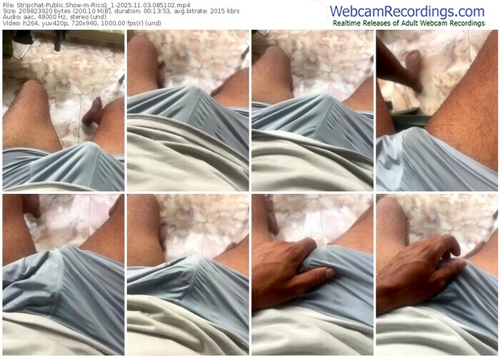 stripchat-rico1_1-11-03-2025-08-51-02