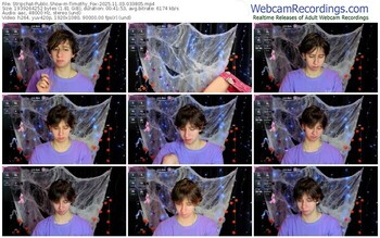 stripchat-timothy_fox-11-03-2025-03-38-05