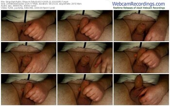 stripchat-tobydick13-11-03-2025-03-35-17