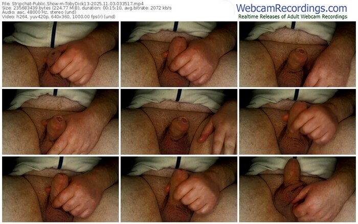 stripchat-tobydick13-11-03-2025-03-35-17