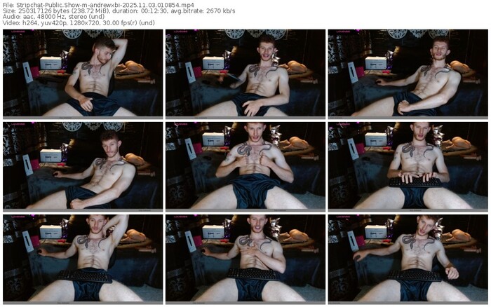 stripchat-andrewxbi-11-03-2025-01-08-54