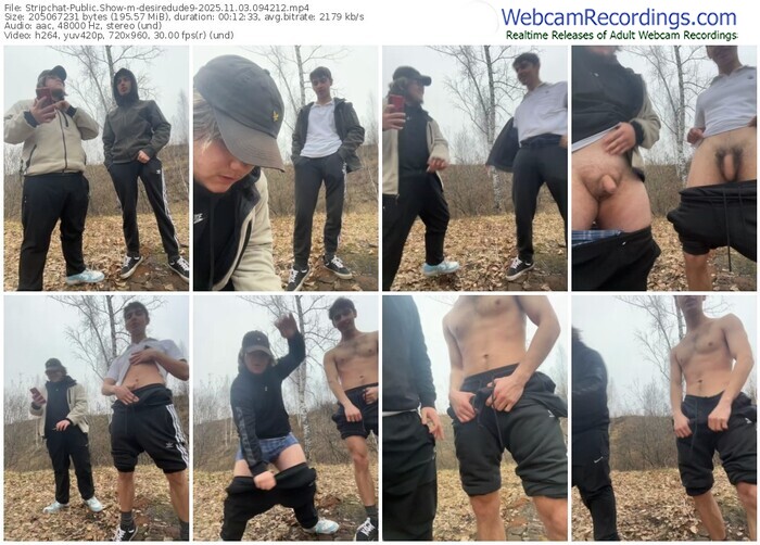 stripchat-desiredude9-11-03-2025-09-42-12