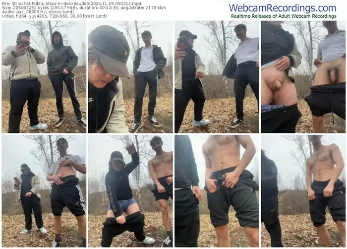 stripchat-desiredude9-11-03-2025-09-42-12