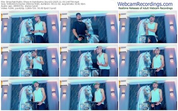 stripchat-handsome_boys22-11-03-2025-14-47-54