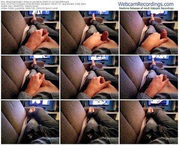 stripchat-jk1981jk-11-03-2025-18-14-08