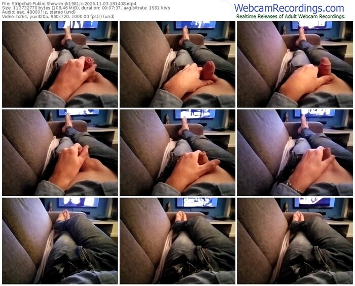 stripchat-jk1981jk-11-03-2025-18-14-08