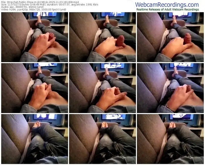 stripchat-jk1981jk-11-03-2025-18-14-08