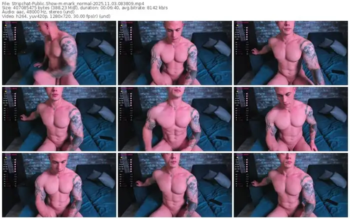 stripchat-mark_normal-11-03-2025-08-38-09