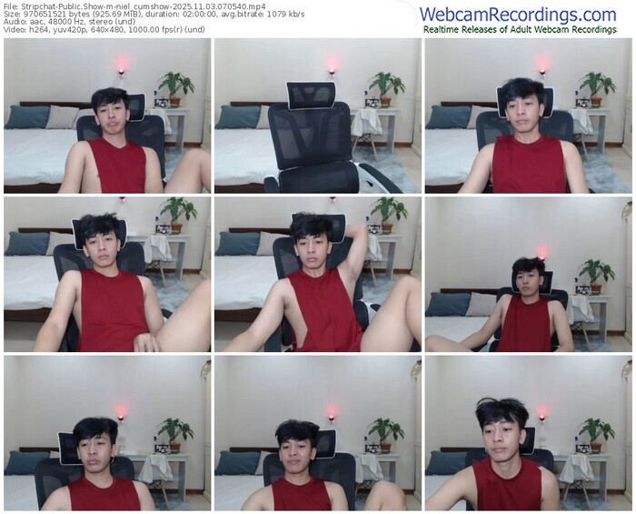 stripchat-niel_cumshow-11-03-2025-07-05-40