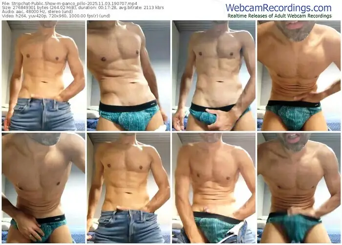 stripchat-panco_pillo-11-03-2025-19-07-07