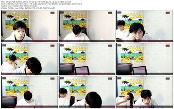 stripchat-stripcha-798-11-03-2025-12-48-19