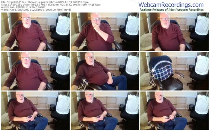 stripchat-superbearboss-11-03-2025-16-03-51
