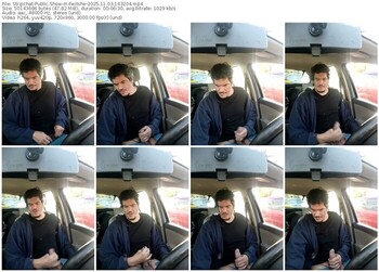 stripchat-twitshe-11-03-2025-14-32-04