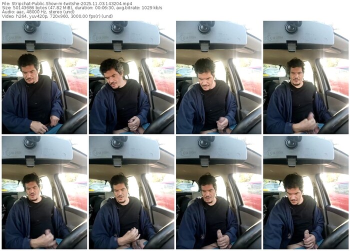 stripchat-twitshe-11-03-2025-14-32-04