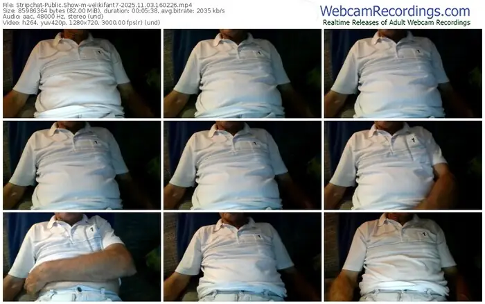 stripchat-velikifant7-11-03-2025-16-02-26