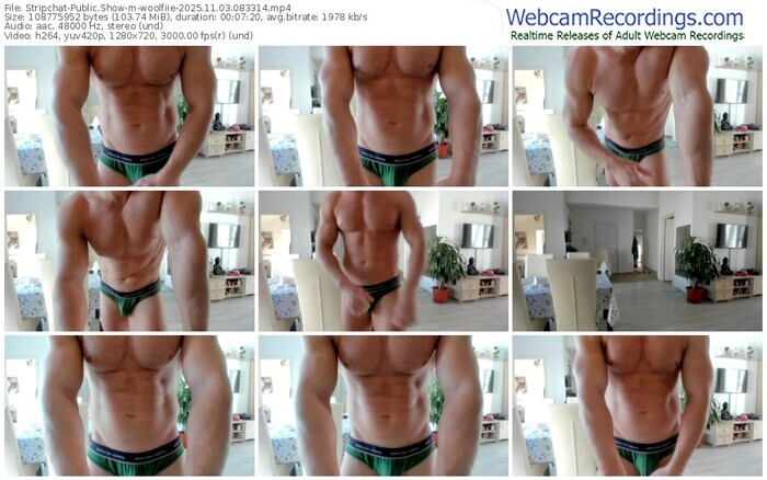 stripchat-woolfiie-11-03-2025-08-33-14