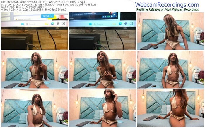 stripchat-exotic_trans-11-03-2025-13-05-36