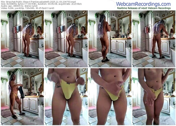 stripchat-transexualjade95-11-03-2025-23-47-53
